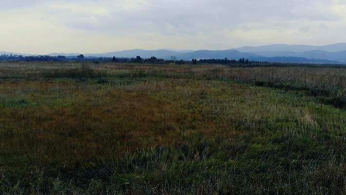 나무 식물 계절 잎 자연 하늘 안테나 사람없음 야외 물 강 마을 환경 안개 덮개 만 개울 습지 지중해 관목 언덕 흔들림 오르기 서식지 창백 드론 4K MP4 해외동영상 클립영상 자연요소 바다 통신 모션 날씨 뚜껑 생태계 동영상 파일형식