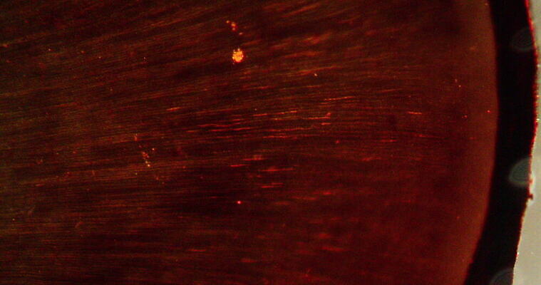 과학 이동 세포 사람없음 빨간색 파란색 약 시험 성장 조직 확대 지원 4K 현미경관찰 MOV 해외동영상 클립영상 교육 컬러 컨셉 의학 관찰 동영상 파일형식