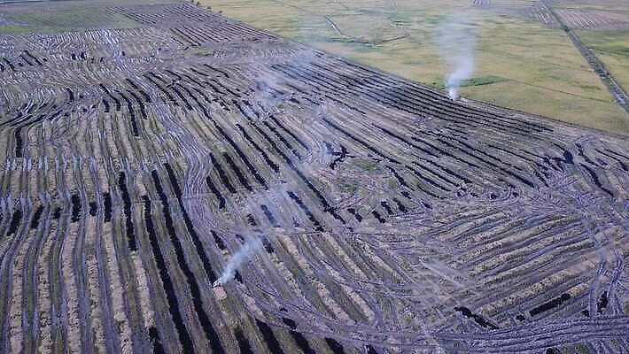 식물 백그라운드 사람없음 야외 시골 연기 땅 화재 밀짚 연소 논밭 재앙 4K MOV 해외동영상 클립영상 밭 논 짚 사건 동영상 파일형식