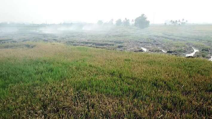 나무 계절 음식 백그라운드 자연 하늘 불 건조 풍경 사람없음 야외 목재 여름 농작물 햇빛 환경 손상 오픈 뜨거움 연기 위험 땅 벽난로 연소 블러 재 재앙 화상 4K MOV 해외동영상 클립영상 자연요소 식물 컨셉 농업 재료 태양 상처 생태계 동영상 파일형식