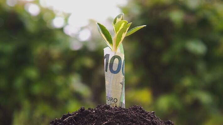 식물 꽃 컨셉 지폐 돈 꽃무늬 밭 농업 비즈니스 모션 아이디어 잔디 사람없음 초록색 금융 경제 세일 정원 저축 유로 성장 시골 구출 가득함 사인 투자 상업 만들기 수선화 계산서 개발 밭일 수도권 수입 4K HD MOV 해외동영상 클립영상 산업 컬러 무늬 도움 재산 지역 동영상 파일형식