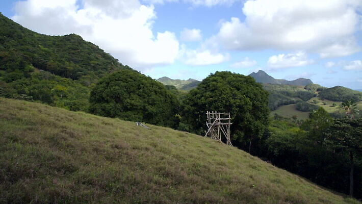 나무 식물 백인 섬 자연 하늘 산 따뜻함 파노라마 한명 경사 사람없음 야외 초록색 파란색 야자수 계단 흰색 시골 언덕 모리셔스 이국적 성인여자만 수평선 MOV 해외동영상 클립영상 서양인 1 컬러 촬영기법 사람 생태계 동영상 여자만 성인만 파일형식
