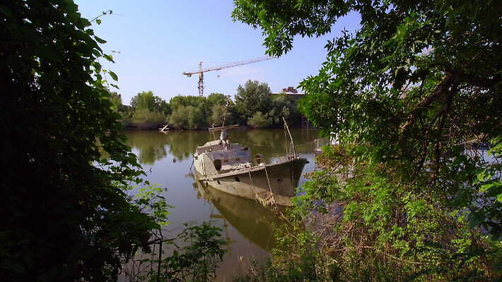 나무 호수 자연 오리 사람없음 물 강 갈색 항구 수중 수확 만 보트 철 진흙 부둣가 깨짐 다뉴브강 세르비아 옛날 4K MOV 해외동영상 클립영상 자연요소 식물 컬러 컨셉 농업 배_교통 교통시설 조류 생태계 동영상 파일형식