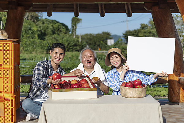 포토 JPG 주간 전신 배너 여자 노년 남자 탁자 사각프레임 미소 웃음 들기 앉기 상반신 20대 성인 야외 앞모습 세명 농작물 판매 바구니 팻말 한국인 농촌 시골 사과 농부 정자 방송 70대 보여주기 전원생활 사과상자 1인미디어 스트리밍 숍스트리밍 라이브커머스 국내포토 여주시 자연요소 직업 건축물 뷰포인트 가구 농업 과일 모션 프레임 표정 사람 동양인 청년 생활 쇼핑 상자 사각형 모바일쇼핑 경기도 파일형식