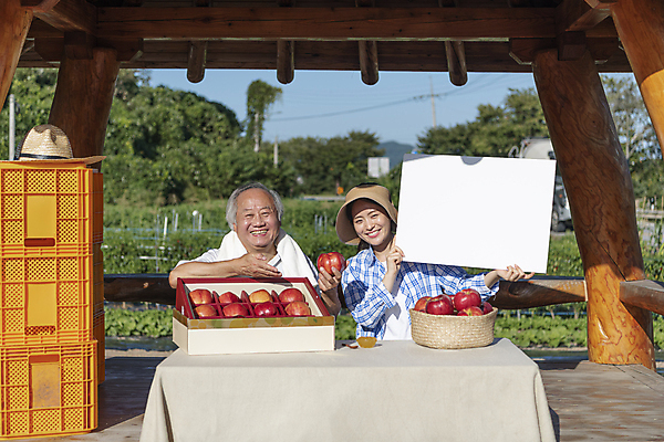 포토 JPG 주간 배너 여자 노년 남자 탁자 사각프레임 미소 웃음 들기 상반신 20대 성인 야외 두명 앞모습 농작물 판매 바구니 팻말 한국인 농촌 시골 가리킴 사과 농부 정자 방송 70대 보여주기 전원생활 사과상자 1인미디어 스트리밍 숍스트리밍 라이브커머스 국내포토 여주시 자연요소 직업 건축물 뷰포인트 가구 농업 과일 모션 프레임 표정 사람 동양인 손짓 청년 생활 쇼핑 상자 사각형 모바일쇼핑 경기도 파일형식