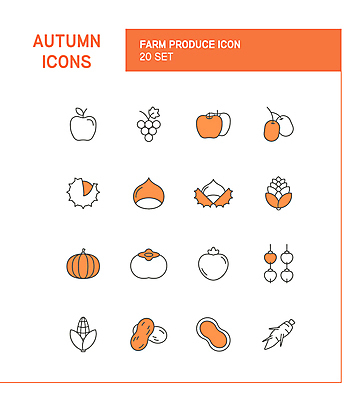 아이콘 호박 포도 감 옥수수 사람없음 주황색 가을 배 삼 사과 밤 밤송이 라인아이콘 대추 땅콩 솔방울 잣 곶감 제철음식 2D아이콘 AI파일 계절 음식 컬러 채소 과일 곡류 견과류 밤_견과류 건과일 제철 파일형식 벡터