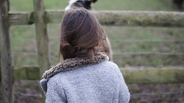 동물 응시 야생동물 어린이 밭 농업 포유류 자연 영국 잉글랜드 뿔 사람 소녀 사람없음 야외 목재 울타리 농장 머리 환경 금속 시골 양 소 먹이 먼지 철사 진흙 양모 밭일 배선 4K MOV 해외동영상 클립영상 나무 시선 여자 유럽 산업 재료 재질 신체부위 담장 한자 직물 생태계 동영상 파일형식