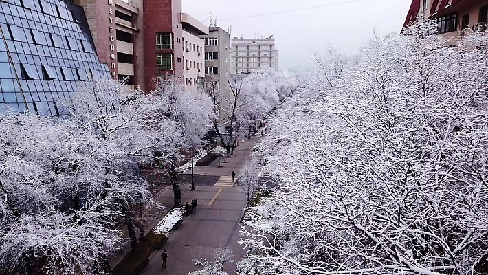 나무 공원 유럽 도로 크리스마스 겨울 건축양식 자연 하늘 지붕 추상 거리 버스 주택 안테나 사람없음 야외 건물 목재 교회 냉동 얼음 추위 안개 흰색 도시 소나무 정상 숲 교차로 모스크 서리 타운 항공촬영 드론 카자흐스탄 눈내림 4K 알마티 MP4 해외동영상 클립영상 자연요소 식물 건축물 계절 공공시설 기념일 건축 나라 아시아 길 육상교통 뷰포인트 컬러 무늬 재료 통신 종교건축 교통시설 날씨 대중교통 눈_날씨 이슬람교 생태계 동영상 파일형식