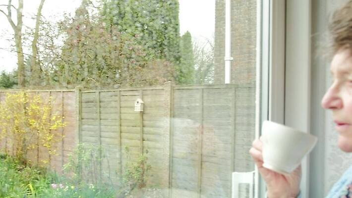 백인 라이프스타일 계절 감정 할머니 얼굴 창문 유리 날씨 주택 실내 한명 사람 성인 컵 물 슬픔 마시기 관찰 기다림 좌절 차 고독 찻잔 은퇴 빗방울 명상 고민 혼란 여자한명만 4K MP4 해외동영상 클립영상 자연요소 서양인 1 식기 여자 노년 음료 컨셉 모션 재질 잔 내부 건물 생활 신체부위 비_날씨 동영상 여자만 파일형식