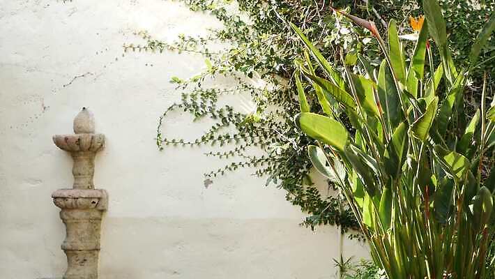 식물 디자인 백그라운드 단풍 꽃무늬 사람없음 건물 초록색 마을 미국 성장 농촌 시골 신선 스페인 지중해 민트 허브 올리브 원예 캘리포니아 교외 산티아고 스페인어 영원 스타일 카피스페이스 비어있는 4K MP4 해외동영상 클립영상 건축물 열매 꽃 유럽 바다 컬러 잎 북아메리카 무늬 취미 공백 동영상 파일형식