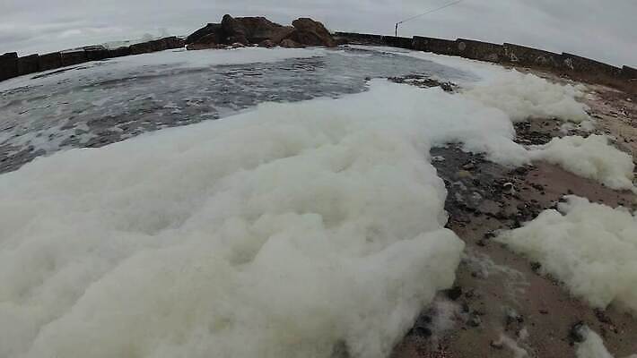 동물 야생동물 모래 파도 바다 백그라운드 자연 생물 사람없음 야외 물 검은색 바닷속 거품 젖음 흰색 지중해 생태계 질감 내추럴 고립 생태학 4K 수중영상 MP4 해외동영상 클립영상 자연요소 교육 컬러 수중 동영상 파일형식