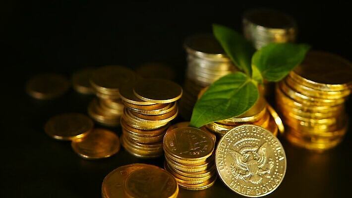 식물 백그라운드 컨셉 잎 돈 비즈니스 사람없음 초록색 금융 경제 달러 탑 금속 동전 검은색 희망 저축 유로 성장 기둥 그룹 변화 시장 재산 황금 주식 카지노 투자 보물 월급 빚 개발 고립 돌봄 센트 수입 MOV 해외동영상 클립영상 건축물 건축 감정 컬러 모션 재질 도박 동영상 파일형식