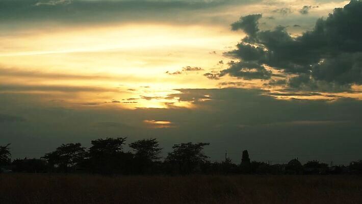 나무 식물 계절 지구 컬러 이동 밭 농업 오렌지 자연 하늘 바람 파노라마 사람없음 야외 빨간색 초록색 파란색 빛 컬러풀 햇빛 태양 농장 노란색 일출 환경 일몰 광선 시골 시간 잠 최고 황금 저녁 장면 내추럴 이상 수평선 MOV 해외동영상 클립영상 자연요소 산업 컨셉 과일 날씨 촬영기법 노을 야간 생태계 동영상 파일형식