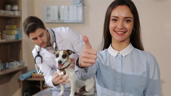 동물 백인 직업 남자 행복 백그라운드 청진기 병원 종류 미소 두명 치료 약 침묵 터치 엄지손가락 코트 흰색 개 맥박 고객 서비스 쇼 부드러움 잭 주인 잡종 수의사 송곳니 기르기 돌봄 복종 섞기 승인 MP4 해외동영상 클립영상 서양인 감정 컬러 포유류 손가락 의학 의료기기 모션 표정 사람 소리 외투 의사 감각 치아 동영상 파일형식