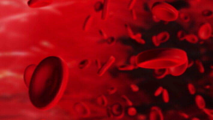 과학 백그라운드 신체 해부 자연 생물 세포 건강 병원 사람없음 빨간색 약 3D 흐름 의사 개울 혈액 바이러스 질병 DNA 시원함 생물학 미생물 염색체 애니메이션 암 동맥 정맥 전염병 코로나바이러스 4K MOV 해외동영상 클립영상 교육 컬러 컨셉 의학 강 의료진 생명공학 디지털합성 생태계 혈관 동영상 파일형식