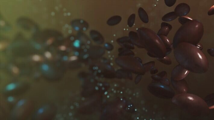 전통 커피 음료 음식 백그라운드 아침 콩 씨앗 사람없음 컵 농작물 갈색 검은색 어둠 카페 에너지 원두 흰색 신선 뜨거움 그룹 맛 떨어짐 아침식사 굽기 질감 만들기 아로마 향 카푸치노 에스프레소 흙더미 내추럴 고립 모카 아라비카 아랍어 양조 카페인 4K MOV 해외동영상 클립영상 주간 식물 식기 컬러 컨셉 농업 모션 곡류 상점 식사 흙 구이 동영상 파일형식 더미