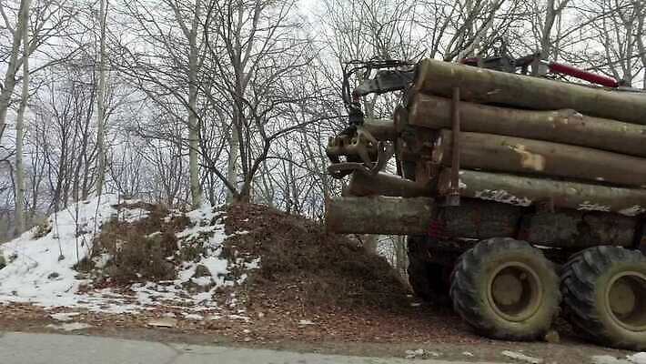 나무 산업 교통시설 모션 사람없음 목재 갈색 쌓기 기계 장비 화물 잡기 숲 기중기 통나무 트랙터 짐차 트레일러 지게차 잡동사니 방앗간 로딩 벌목 삼나무 수목 조작 집게발 4K MP4 해외동영상 클립영상 식물 컬러 교통 재료 자동차 운송업 중장비 농기계 시설 특수차량 동영상 파일형식