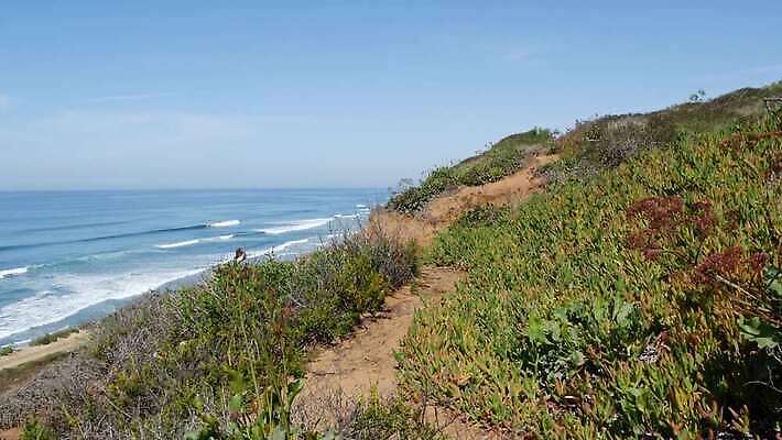 응시 파도 바다 여행 조류 휴가 파노라마 경사 사람없음 물 하이앵글 미국 정상 고도 그림 캘리포니아 태평양 첨탑 항공촬영 흉터 수평선 4K MP4 해외동영상 클립영상 자연요소 동물 시선 뷰포인트 북아메리카 촬영기법 탑 상처 동영상 파일형식