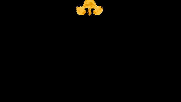 컬러 백그라운드 컨셉 오렌지 모션 자연 추상 잉크 미술 사람없음 빨간색 물 파란색 빛 페인트 젖음 흐름 에너지 소용돌이 흰색 방울 신선 얼룩 액체 떨어짐 질감 분무기 섞기 부족함 MOV 해외동영상 슬로모션 클립영상 자연요소 무늬 과일 문화예술 촬영기법 장식 회오리 생태계 동영상 파일형식