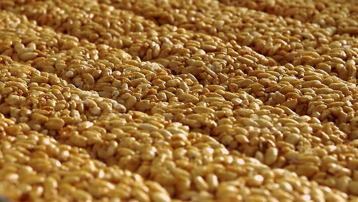 산업 선 백그라운드 비즈니스 포장 공장 밥 디저트 사탕 옥수수 사람없음 과자 기계 장비 트럭 벨트 업무 닫기 달콤 맛 제조 상품 낟알 극장 패키지 짐싸기 방법 자동 자동화 컨베어밸트 해로움 4K MOV 해외동영상 클립영상 잡화 음식 컨셉 공업 모션 자동차 곡류 작업 동영상 파일형식