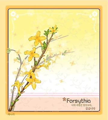 EPS 식물 꽃 컬러 백그라운드 꽃백그라운드 일러스트 봄꽃 자연 사람없음 노란색 개나리 국내일러스트 봄 생태계 파일형식 벡터