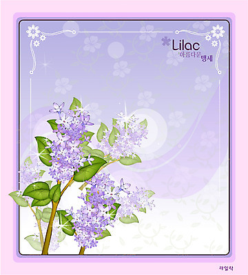 EPS 식물 꽃 컬러 백그라운드 꽃백그라운드 일러스트 봄꽃 자연 사람없음 보라색 꽃말 라일락 국내일러스트 봄 생태계 파일형식 벡터