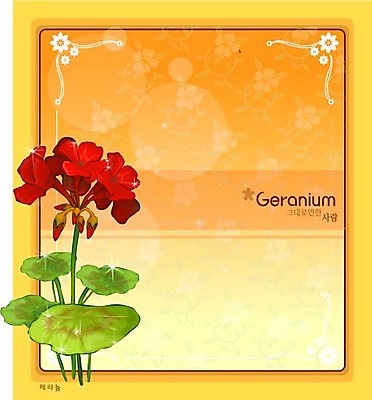 EPS 식물 꽃 컬러 백그라운드 꽃백그라운드 일러스트 여름꽃 자연 사람없음 빨간색 꽃말 제라늄 국내일러스트 생태계 파일형식 벡터 여름_계절