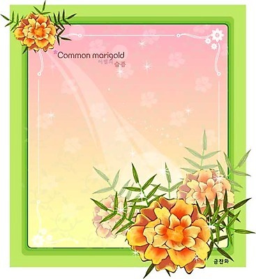 EPS 식물 꽃 컬러 백그라운드 꽃백그라운드 일러스트 여름꽃 자연 사람없음 주황색 꽃말 금잔화 국내일러스트 생태계 파일형식 벡터 여름_계절