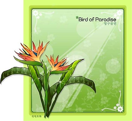 EPS 식물 꽃 컬러 백그라운드 꽃백그라운드 일러스트 자연 사람없음 주황색 꽃말 극락조화 국내일러스트 생태계 파일형식 벡터