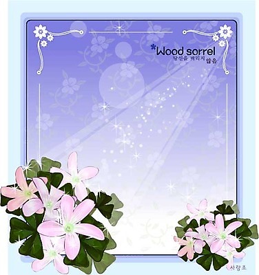 EPS 식물 꽃 분홍색 백그라운드 꽃백그라운드 일러스트 여름꽃 자연 사람없음 꽃말 사랑초 국내일러스트 컬러 생태계 파일형식 벡터 여름_계절