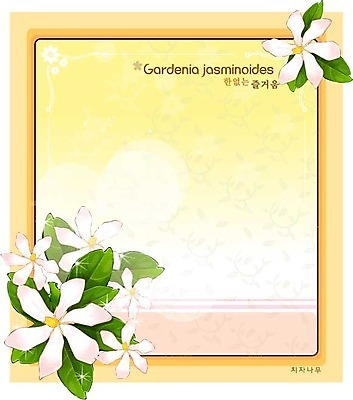 EPS 식물 꽃 분홍색 백그라운드 꽃백그라운드 일러스트 여름꽃 자연 사람없음 치자 치자꽃 치자나무 국내일러스트 나무 컬러 한약재 생태계 파일형식 벡터 여름_계절