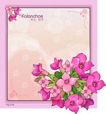 EPS 식물 꽃 분홍색 컬러 백그라운드 꽃백그라운드 일러스트 자연 사람없음 보라색 꽃말 카랑코에 국내일러스트 생태계 파일형식 벡터