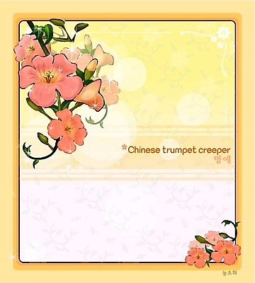 EPS 식물 꽃 컬러 백그라운드 꽃백그라운드 일러스트 여름꽃 자연 사람없음 빨간색 꽃말 능소화 국내일러스트 생태계 파일형식 벡터 여름_계절