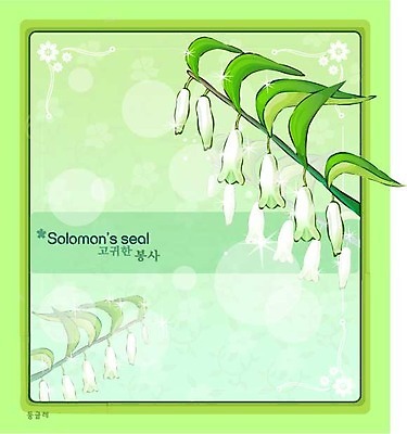 EPS 식물 꽃 백그라운드 꽃백그라운드 일러스트 여름꽃 자연 사람없음 흰색 둥글레 국내일러스트 컬러 생태계 파일형식 벡터 여름_계절