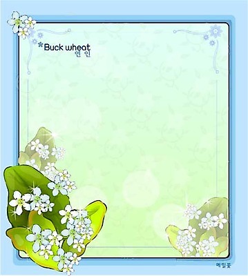 EPS 식물 커플 꽃 백그라운드 꽃백그라운드 일러스트 자연 가을꽃 사람없음 흰색 꽃말 메밀꽃 국내일러스트 컬러 관계 생태계 파일형식 벡터 가을_계절