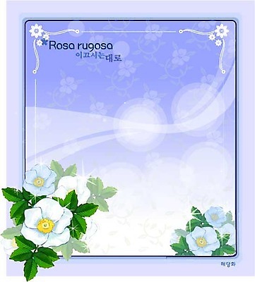 EPS 식물 꽃 백그라운드 꽃백그라운드 일러스트 봄꽃 자연 사람없음 흰색 꽃말 해당화 국내일러스트 컬러 봄 생태계 파일형식 벡터