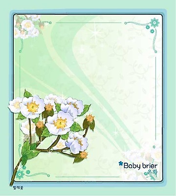 EPS 식물 꽃 백그라운드 꽃백그라운드 일러스트 봄꽃 자연 사람없음 흰색 꽃말 찔레꽃 국내일러스트 컬러 봄 생태계 파일형식 벡터