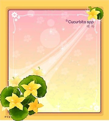 EPS 식물 꽃 컬러 백그라운드 꽃백그라운드 일러스트 여름꽃 자연 사람없음 노란색 꽃말 호박꽃 국내일러스트 생태계 파일형식 벡터 여름_계절