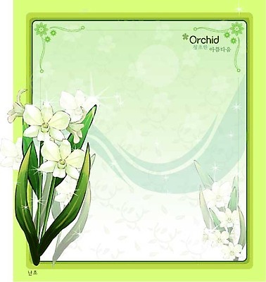 EPS 식물 꽃 백그라운드 꽃백그라운드 일러스트 자연 사람없음 흰색 난초 꽃말 국내일러스트 컬러 생태계 파일형식 벡터