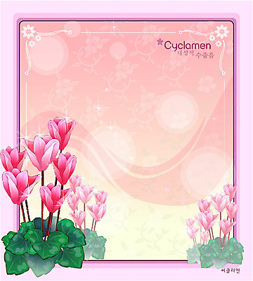 EPS 식물 꽃 분홍색 백그라운드 꽃백그라운드 일러스트 자연 사람없음 꽃말 시클라멘 국내일러스트 컬러 생태계 파일형식 벡터