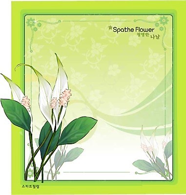 EPS 식물 꽃 백그라운드 꽃백그라운드 일러스트 자연 사람없음 흰색 꽃말 스파트필럼 국내일러스트 컬러 생태계 파일형식 벡터