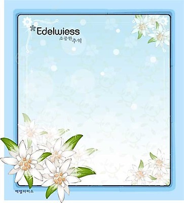 EPS 식물 꽃 백그라운드 꽃백그라운드 일러스트 자연 사람없음 흰색 꽃말 국내일러스트 컬러 생태계 파일형식 벡터