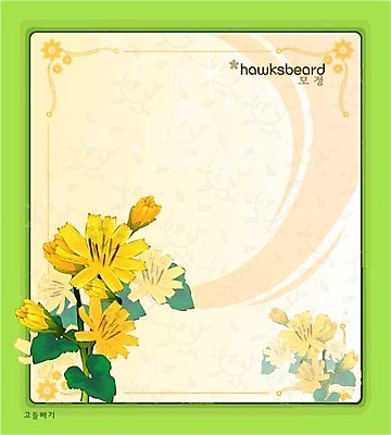 EPS 식물 꽃 컬러 백그라운드 꽃백그라운드 일러스트 여름꽃 자연 사람없음 노란색 꽃말 고들빼기 국내일러스트 생태계 나물 파일형식 벡터 여름_계절