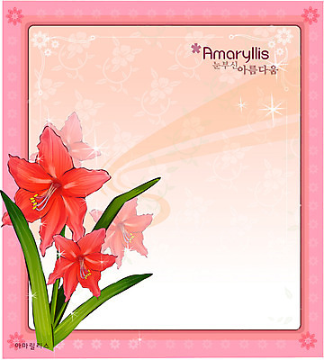 EPS 식물 꽃 컬러 백그라운드 꽃백그라운드 일러스트 봄꽃 자연 사람없음 빨간색 꽃말 아마릴리스 국내일러스트 봄 생태계 파일형식 벡터