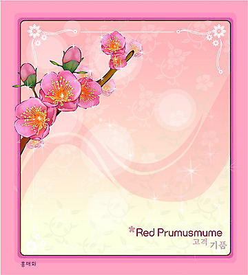 EPS 식물 꽃 분홍색 백그라운드 꽃백그라운드 일러스트 봄꽃 자연 사람없음 매화 꽃말 홍매화 국내일러스트 컬러 봄 생태계 파일형식 벡터