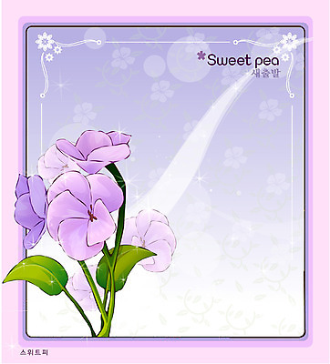 EPS 식물 꽃 컬러 백그라운드 꽃백그라운드 일러스트 자연 사람없음 보라색 꽃말 스위트피 국내일러스트 생태계 파일형식 벡터