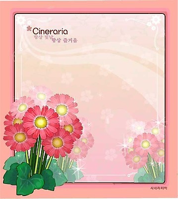 EPS 식물 꽃 컬러 백그라운드 꽃백그라운드 일러스트 자연 사람없음 빨간색 꽃말 겨울꽃 시네라리아 국내일러스트 겨울 생태계 파일형식 벡터