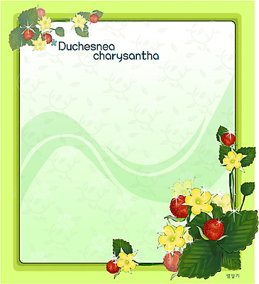 EPS 식물 꽃 컬러 백그라운드 꽃백그라운드 일러스트 봄꽃 자연 사람없음 빨간색 노란색 꽃말 뱀딸기 국내일러스트 봄 생태계 파일형식 벡터