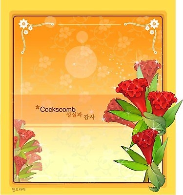 EPS 식물 꽃 컬러 백그라운드 꽃백그라운드 일러스트 여름꽃 자연 사람없음 빨간색 꽃말 맨드라미 국내일러스트 생태계 파일형식 벡터 여름_계절