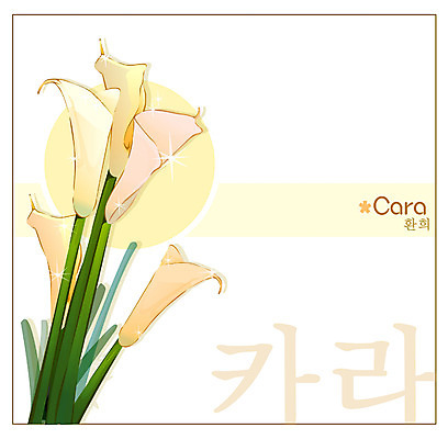 EPS 식물 꽃 백그라운드 꽃백그라운드 일러스트 여름꽃 자연 사람없음 노란색 카라 칼라꽃 국내일러스트 컬러 생태계 파일형식 벡터 여름_계절